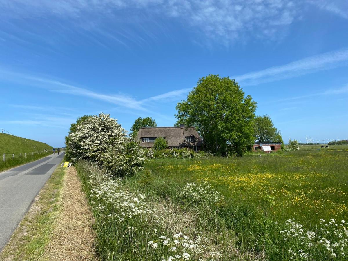 Ferienwohnung Marschkieker - Kleiner Deichhof Hattstedtermarsch Exterior foto